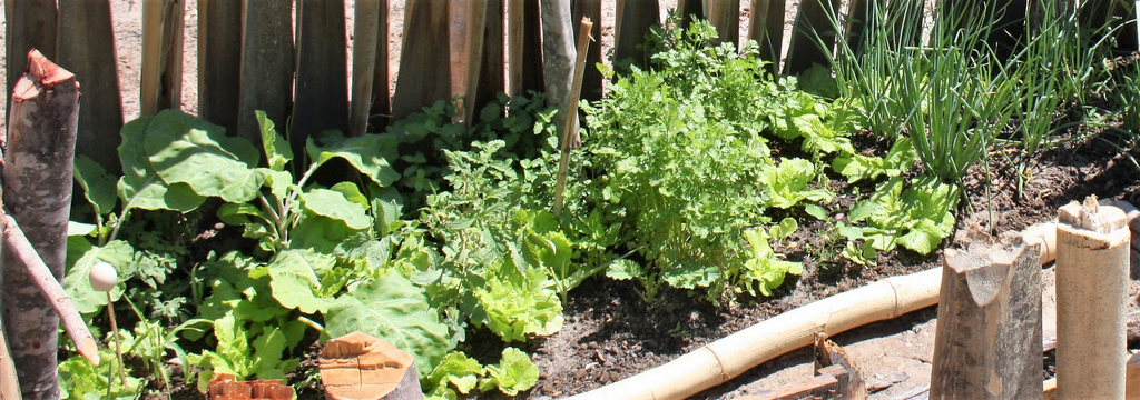 Garten 1